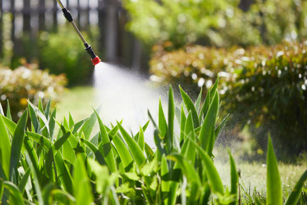 24/7 Emergency Fumigation Services experts in Shiprock, NM